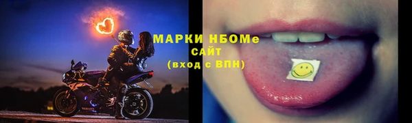 a pvp Бородино