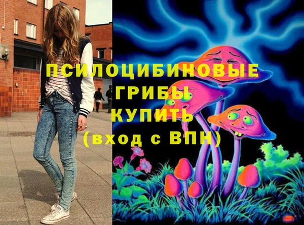 a pvp Бородино