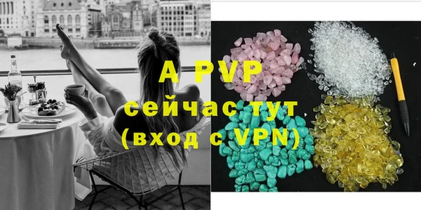 a pvp Бородино