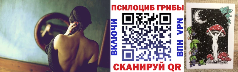 Псилоцибиновые грибы Psilocybine cubensis Бронницы