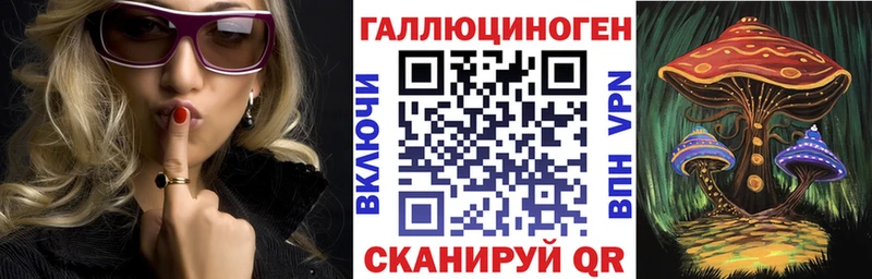 KRAKEN tor  Бронницы  Псилоцибиновые грибы GOLDEN TEACHER 